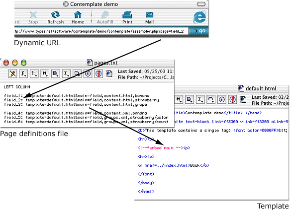 Dynamic page, medium form